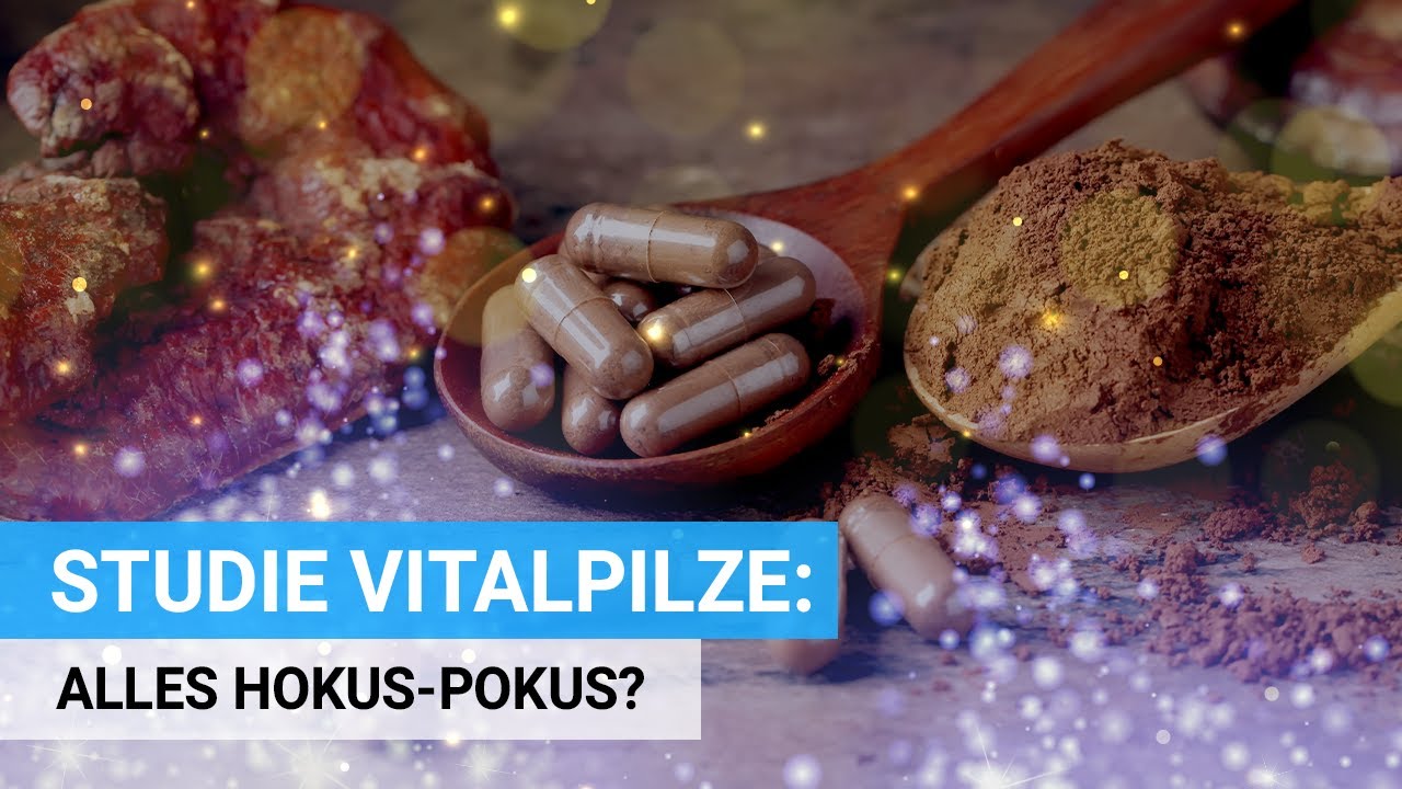 Studie: Vitalpilze Wunderheilung oder Hokus Pokus?