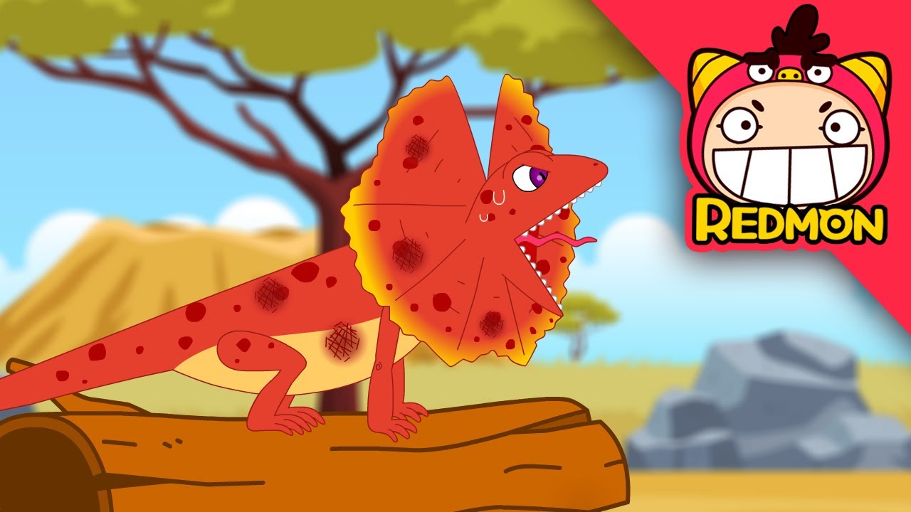 Save the Frilled-neck Lizard | Animal Rescue Team | 4K cartoon | REDMON