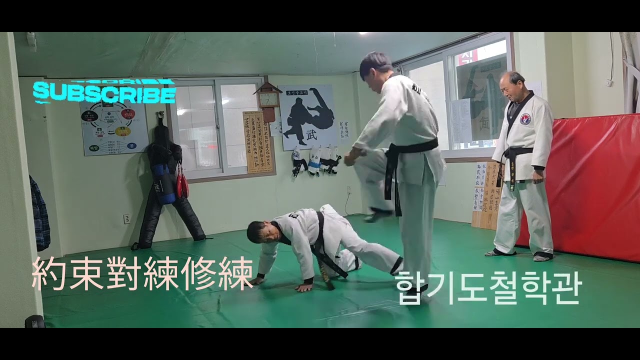 약속 대련 배우기 