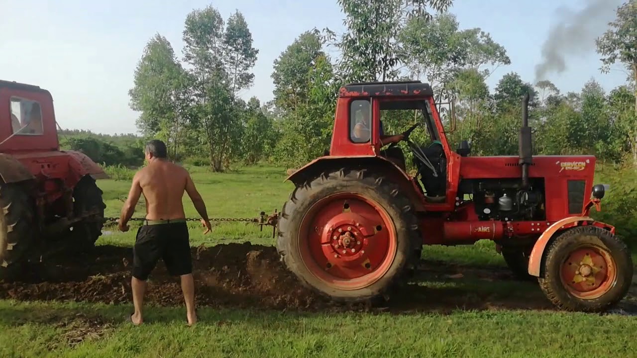Mtz 80 vs mtz 80
