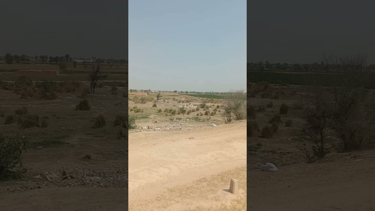 Beautiful Cholistan Desert | Punjab Village Life