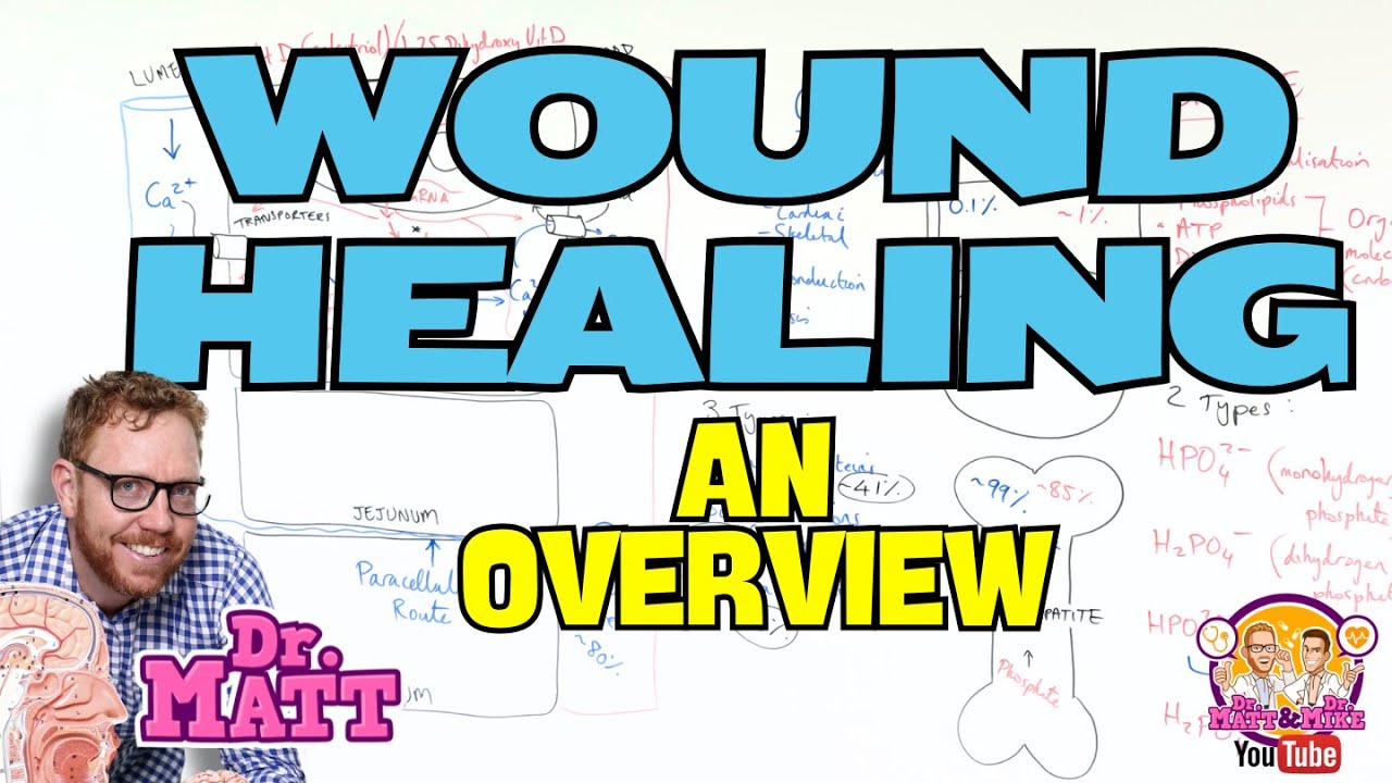 Wound Healing | An Overview