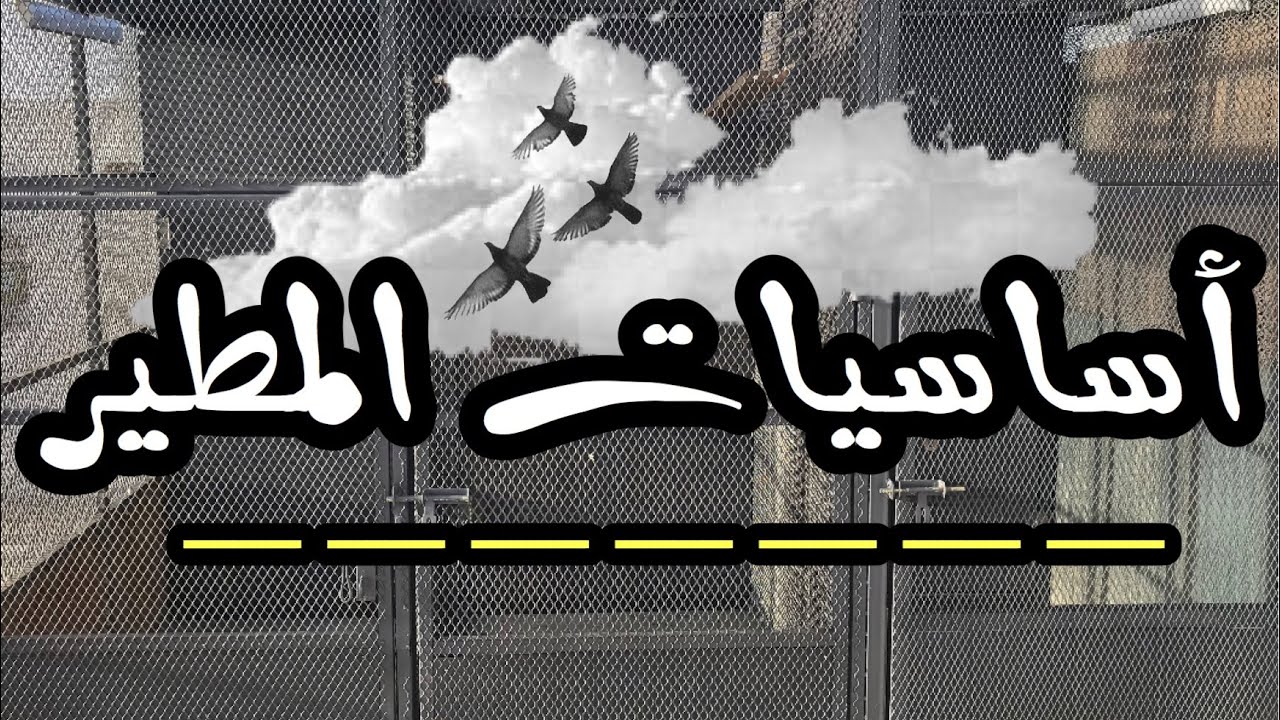 أساسيات و فن المطير الصحيح