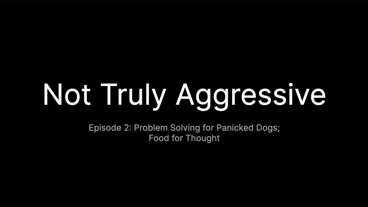 Not Truly Aggressive Episode #2  Problem Solving for Panicked Dogs  Food for Thought