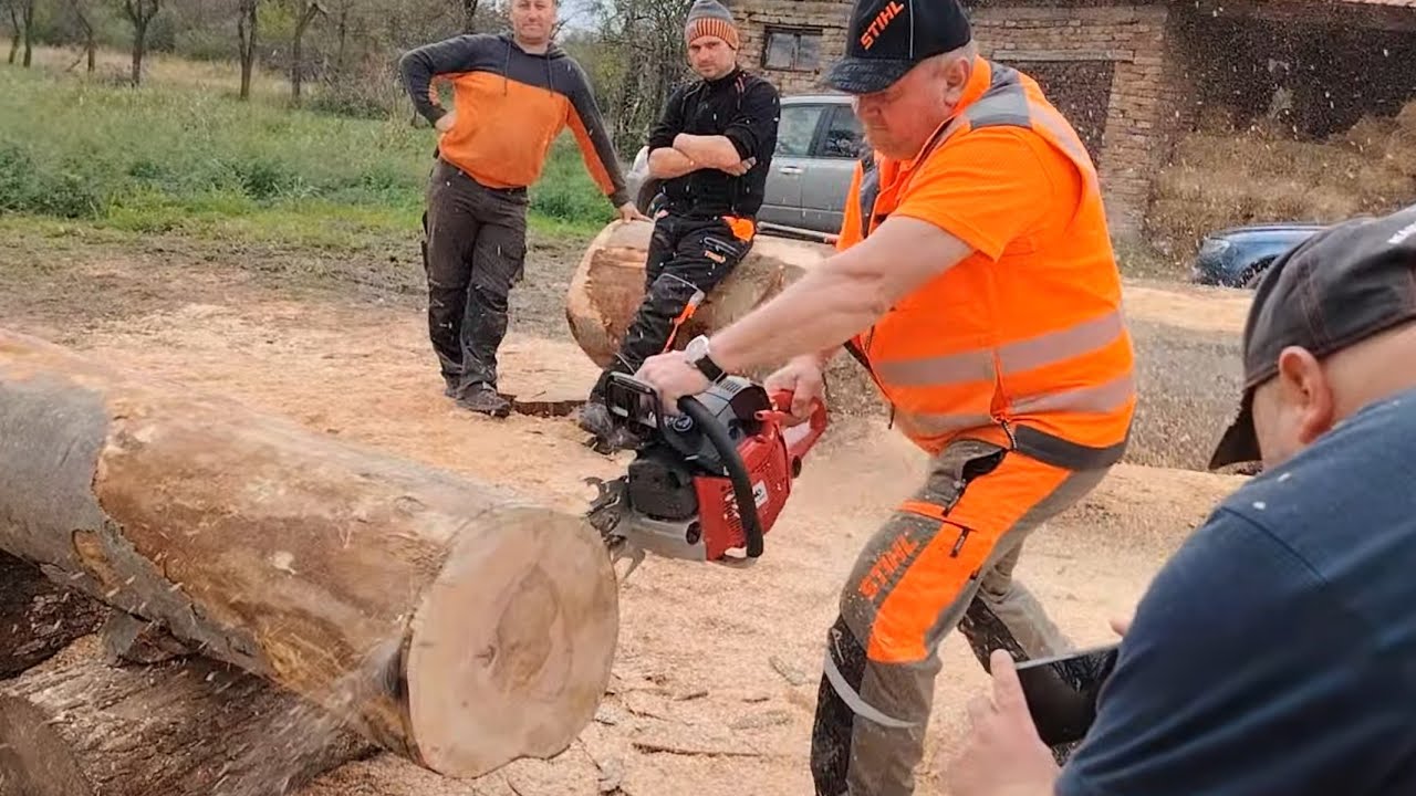 STIHL ms 360 & SOLO 675 racing /GTG 2024.RO.