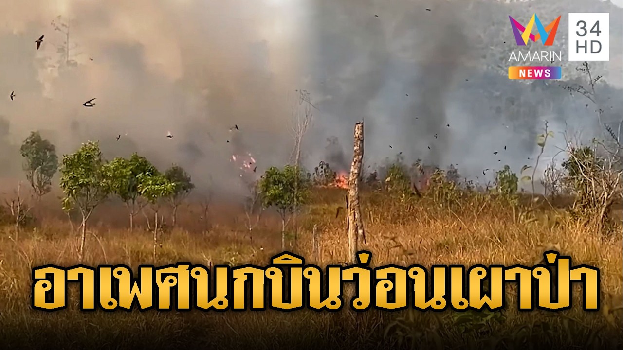 ทหารเผาป่าพาบรรลัย “พระ-เณร” ดับไฟวุ่น นกโผล่บินว่อน | ข่าวอรุณอมรินทร์ | 21/02/69