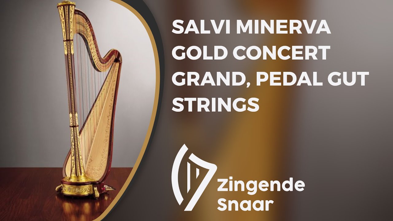 Salvi Minerva gold concert grand, pedal gut strings