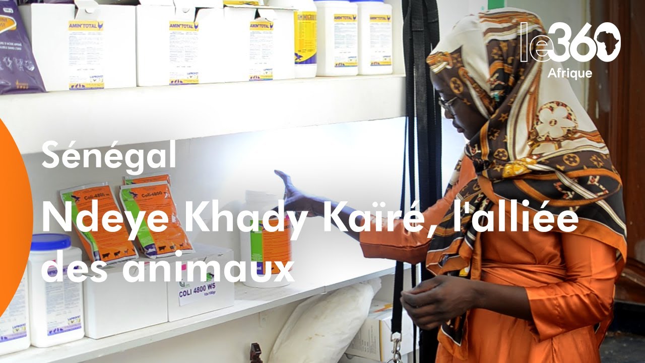 Sénégal: Ndeye Khady Kaïré, une passion pour la santé animale