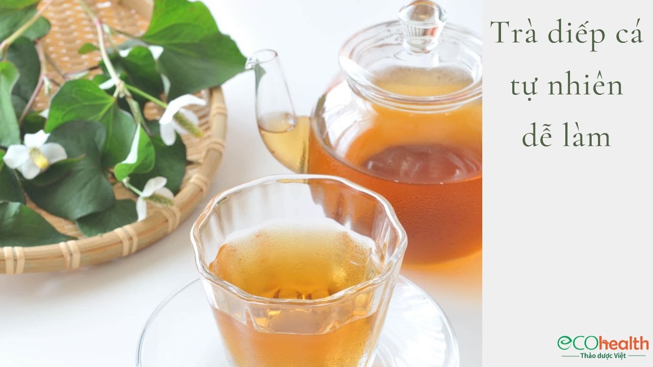 Trà diếp cá tự nhiên dễ làm lại nhiều công dụng