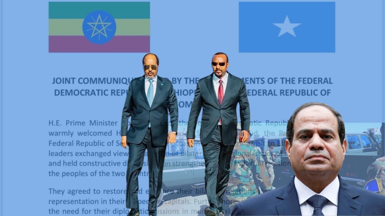 DEG DEG: MD Xasan Sh oo qaaday talaabo si weyn uga careysiisay Shacabka & Masar oo ku dhawaaqday...