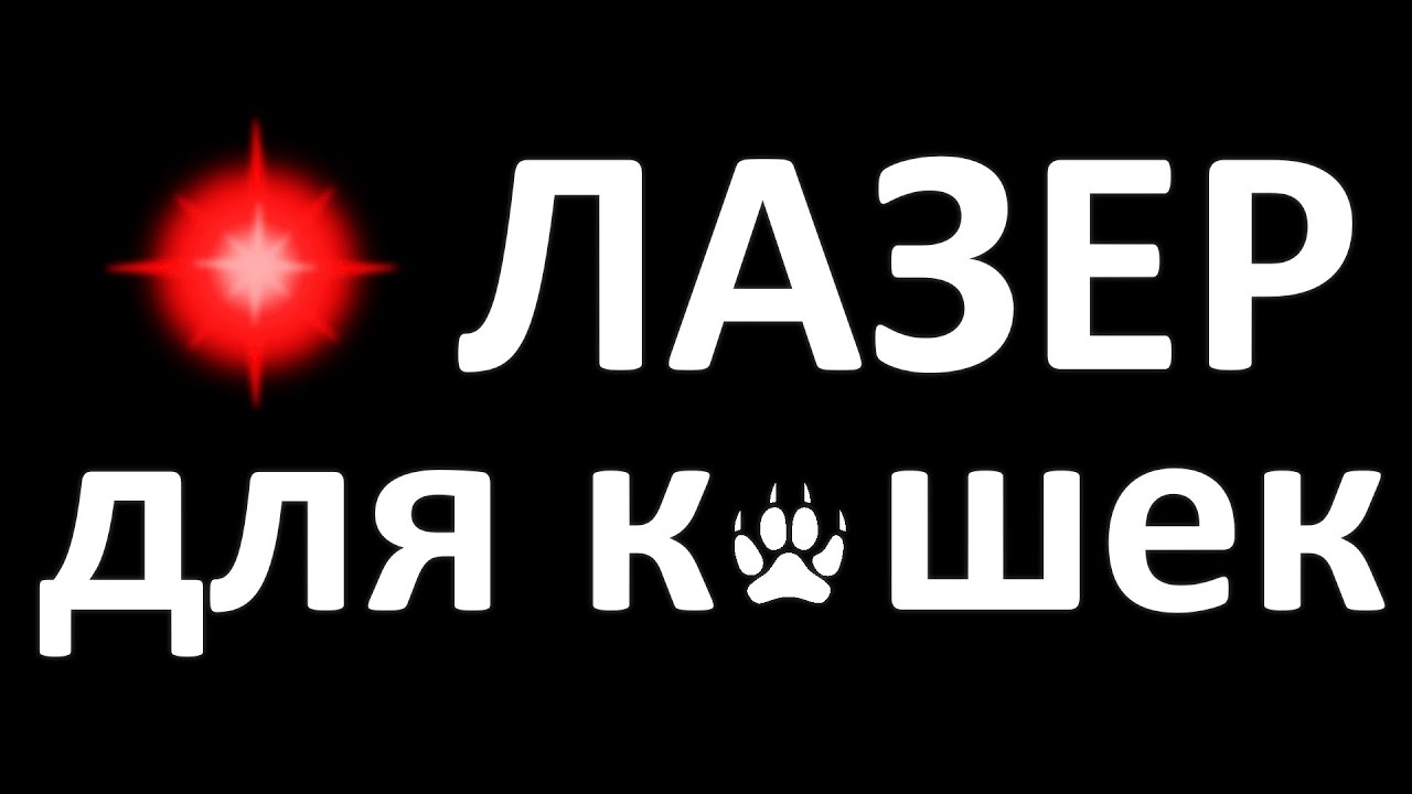 🐾 Лазерная точка: Игра для котов, кошек на экране! #Муськадуськатв