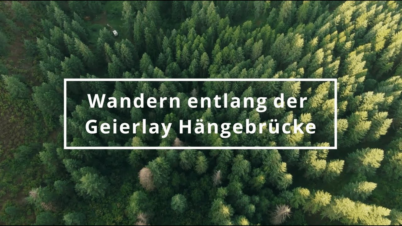 Geierlay Hängebrücke - Wanderung mit Emma entlang der Geierlay Hängebrücke