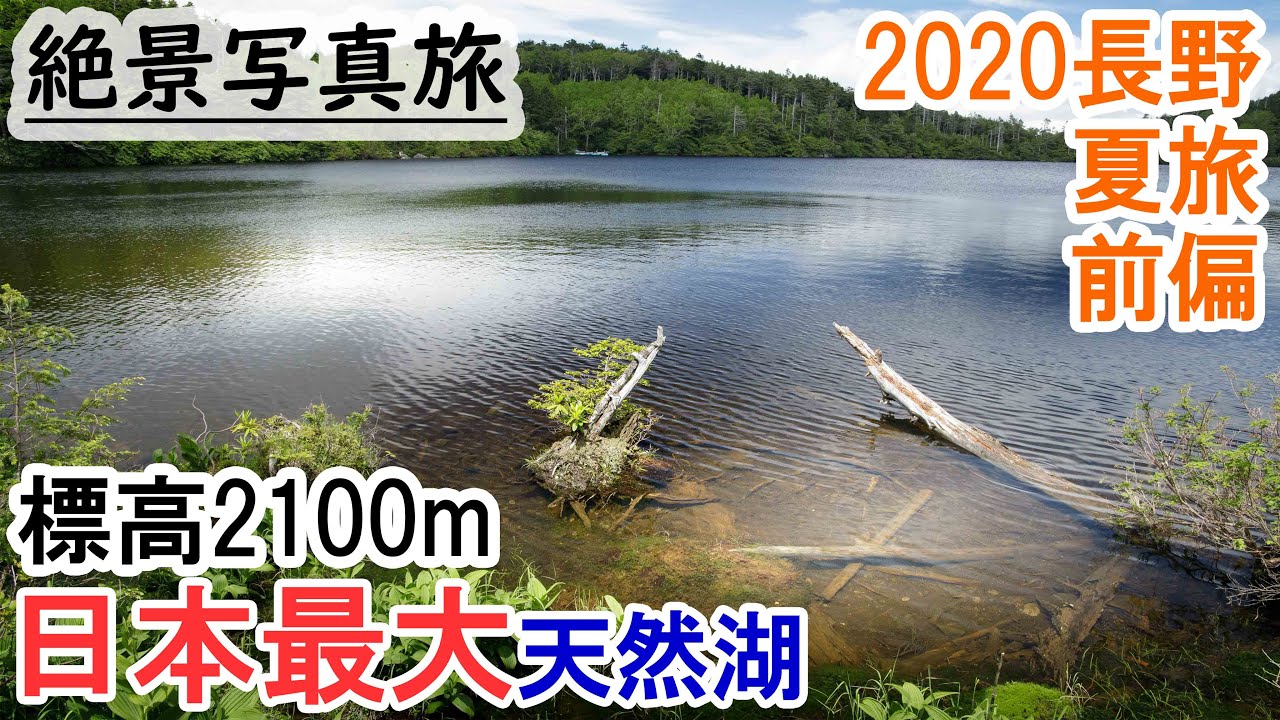 白駒池,原生林の神秘の苔の森で絶景探しの旅,レトロな清里(清里→吐竜の滝→松原湖→苔の森→白駒池)【2020長野夏旅前編】
