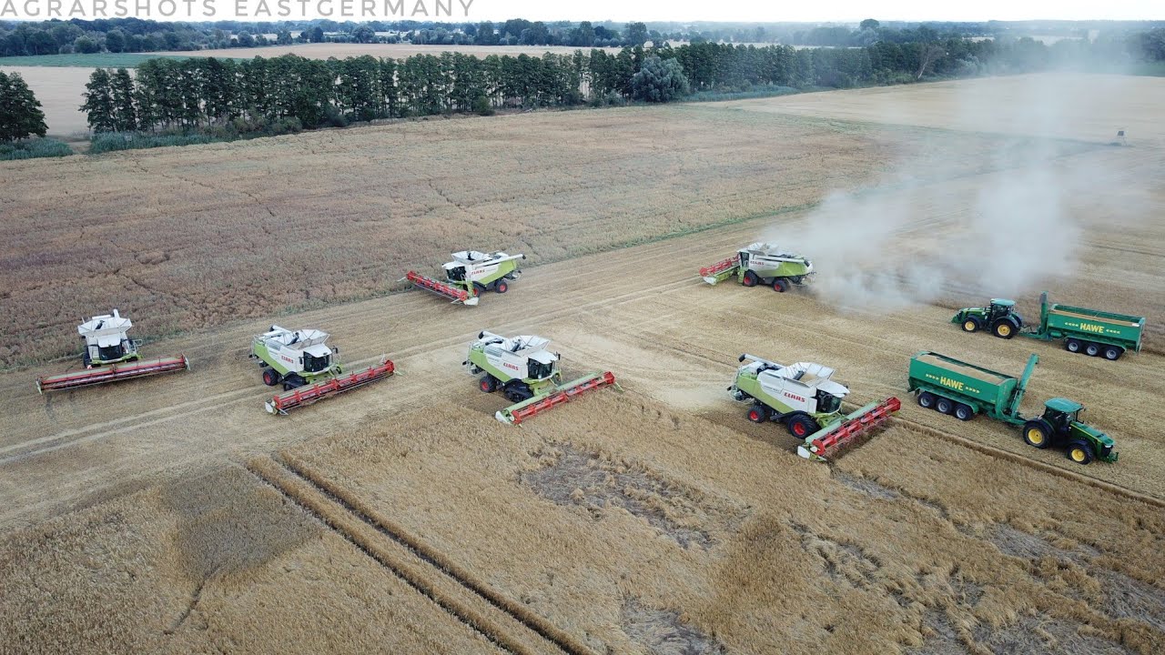 6X Claas Lexion 600 //XXL Ernte Komplex in Ost Deutschland