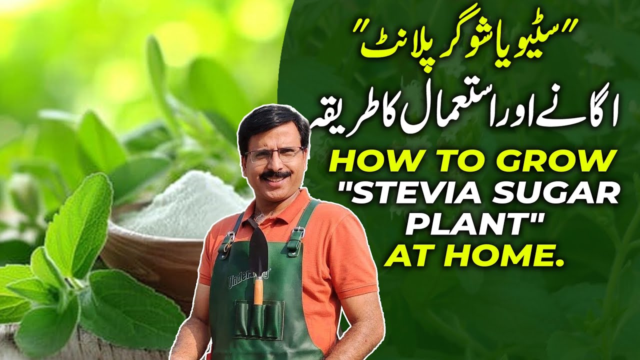 How To Grow 