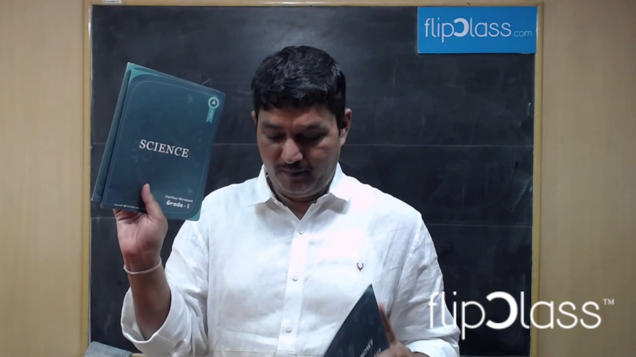 flipClass Center Training1 Batch II