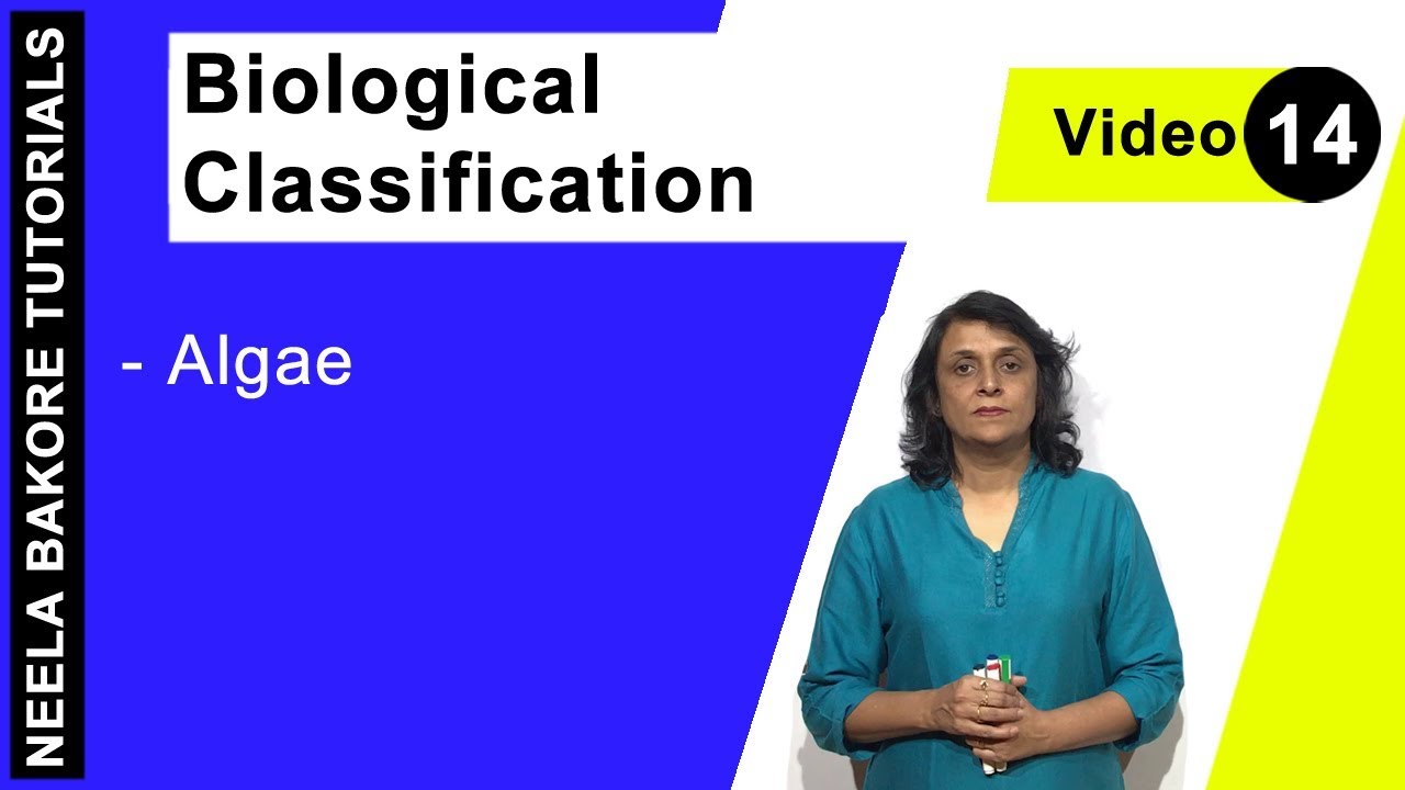 Biological Classification | NEET | Algae | Neela Bakore Tutorials