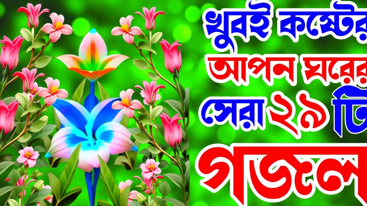 খুবই দুঃখের হৃদয় ছোঁয়া সেরা ২৯ টি  বাছাই করা গজল | মন প্রাণ উজাড় করা কষ্টের গজল | Islamic song |