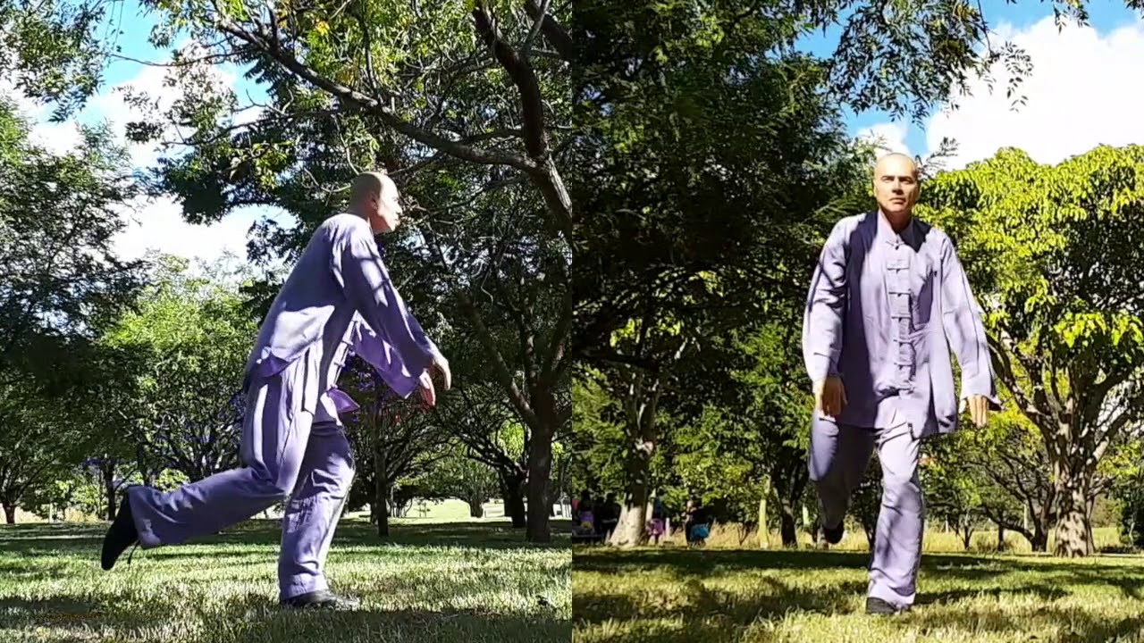 Qi Gong pour renforcer l'équilibre - Qi Gong to strengthen the balance - Les 5 animaux, la Grue