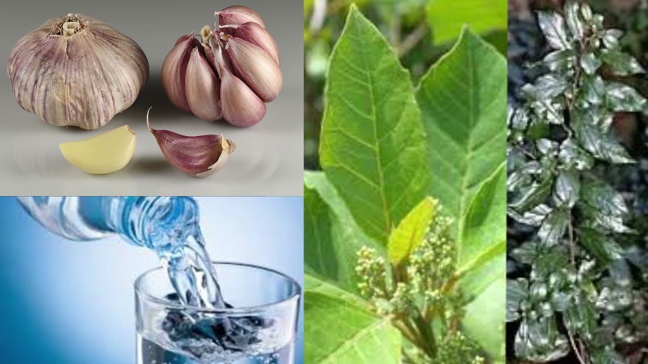 Dore uko Wakwikingira abarozi mubuzima bwawe //Naho Ukorera ntihagire  n'umwe waguhangara 🤞🔥💪🥒👍