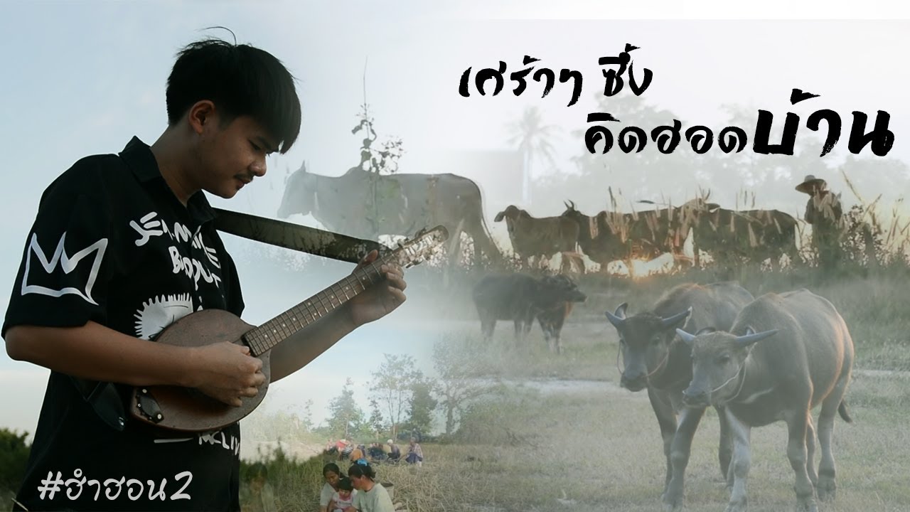 ลายพิณคิดฮอดบ้าน เศร้าๆ ซึ้งๆ - เต้ยสายบ้า(ฮำฮอน2)