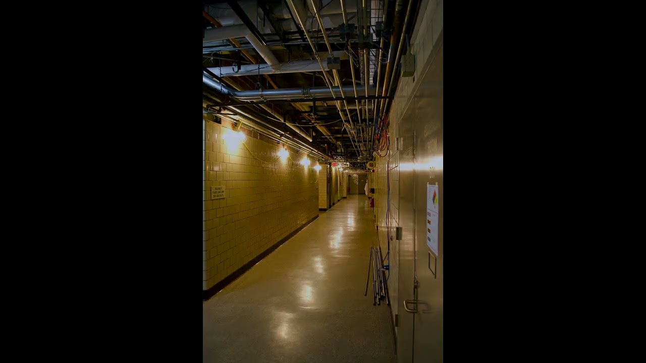 Level 3: Electrical Station - The Backrooms Music
