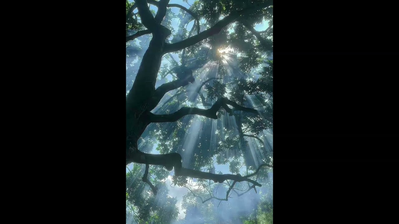 (free for profit) - *no drums* acoustic guitar ambient midwest emo instrumental 