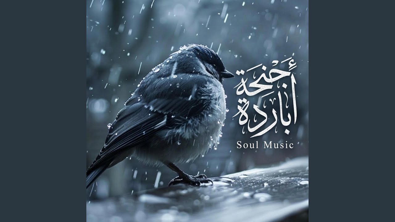 أجنحة باردة Cold Wings