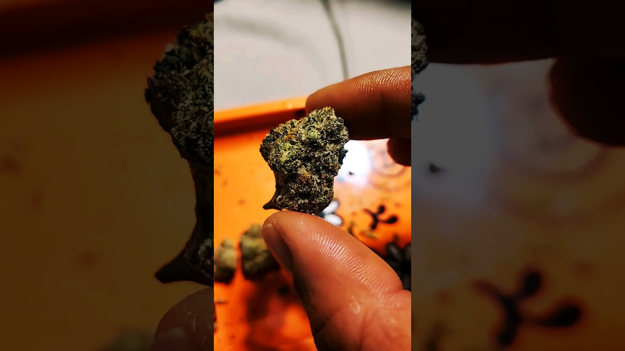 ICE CREAM CAKE by AERIZ!