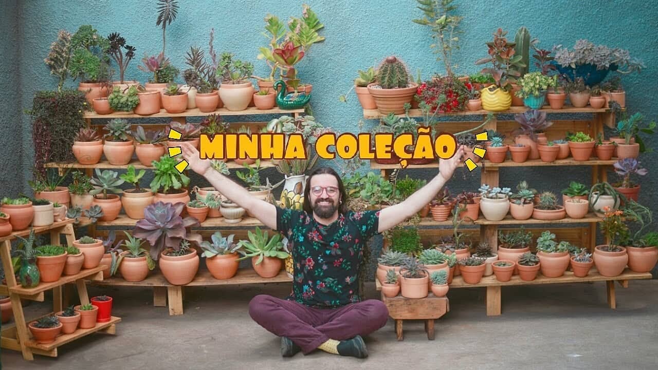 Tour pela minha coleção de SUCULENTAS