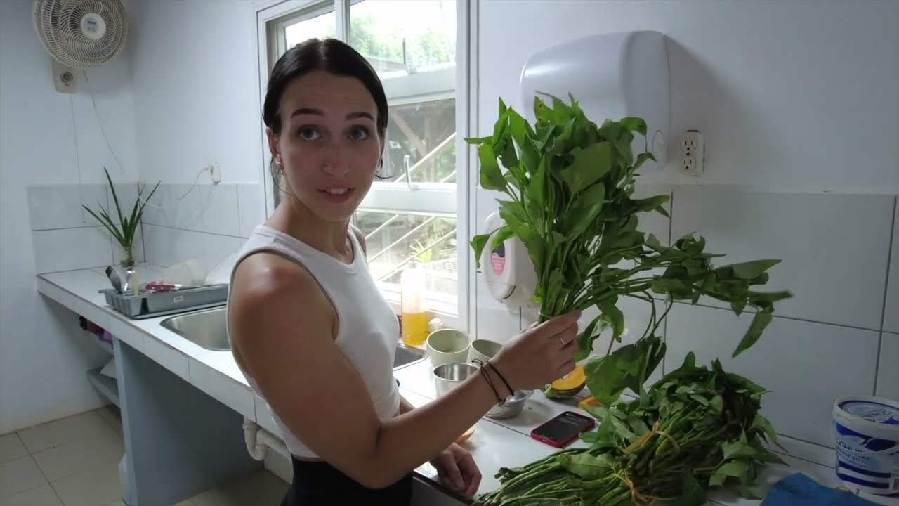 Suriname Vlog #6 - Onze eerste rescue, een tarantula eizak vinden en de luiaards voeden!