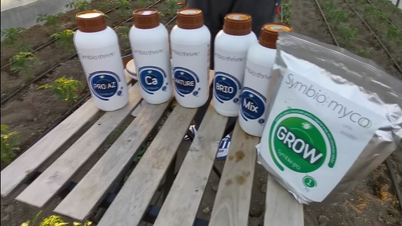 CUM PROTEJAM ȘI FERTILIZAM ECOLOGIC PLANTELE DIN SOLAR ȘI GRADINA!!