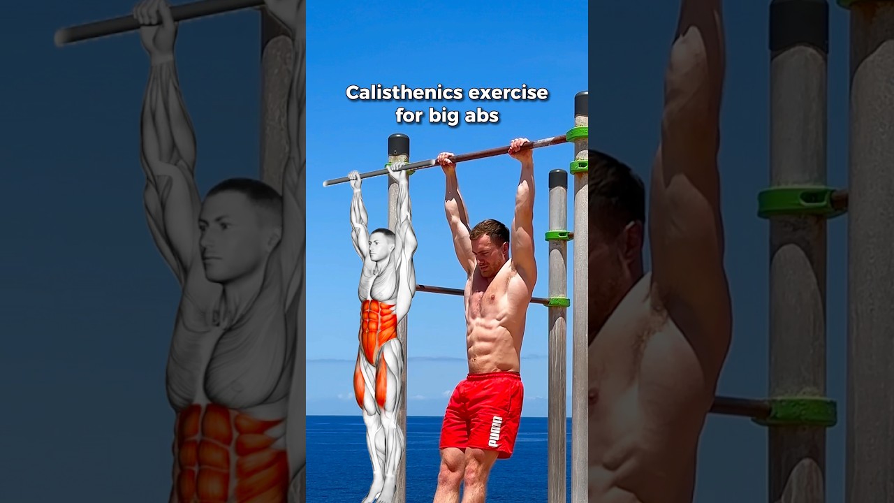 Calisthenics Ab Exercise