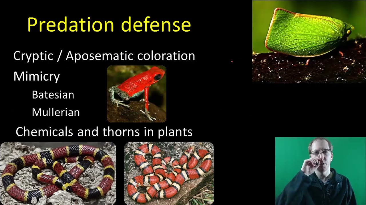 AP Bio: Экология сообщества — Часть 1