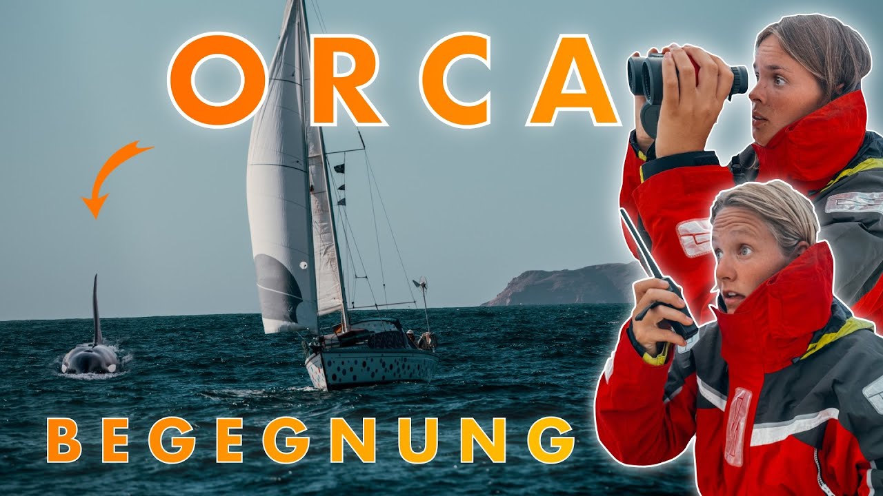 ORCA Begegnung auf dem Atlantik | Segelabenteuer ⛵️