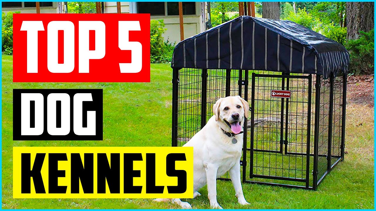 Top 5 Best Outdoor Dog Kennels You Should Buy In 2022 &ndash; Review