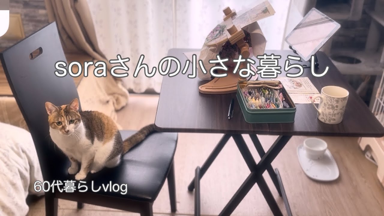 《60代ひとりと猫との暮らし》買い出し前の冷蔵庫掃除/娘のために出来ること/卒業できない曲　　#ひとり暮らし  #猫との暮らし 
