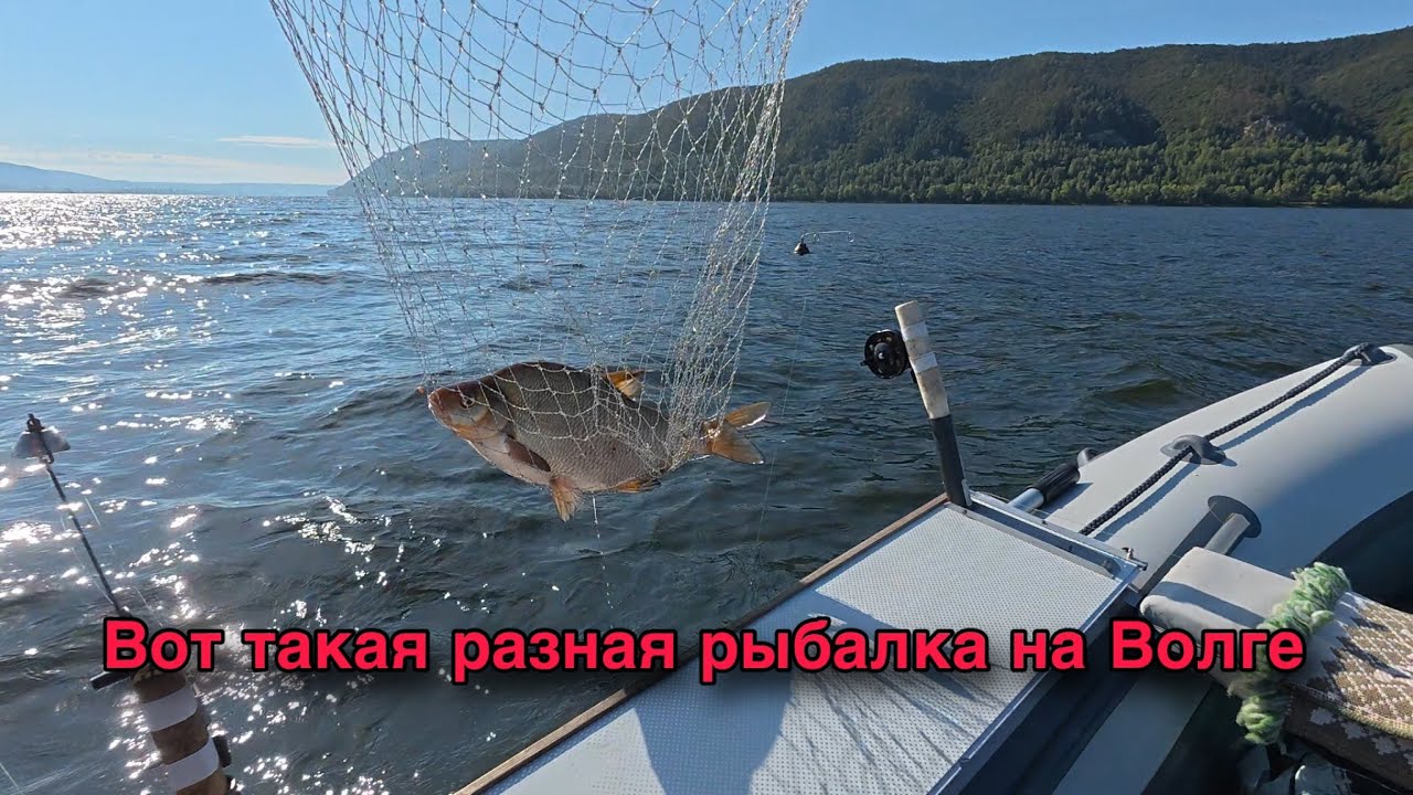 УТРЕННИЙ КЛЕВ. РЫБАЛКА НА КОЛЬЦО В САМАРЕ.