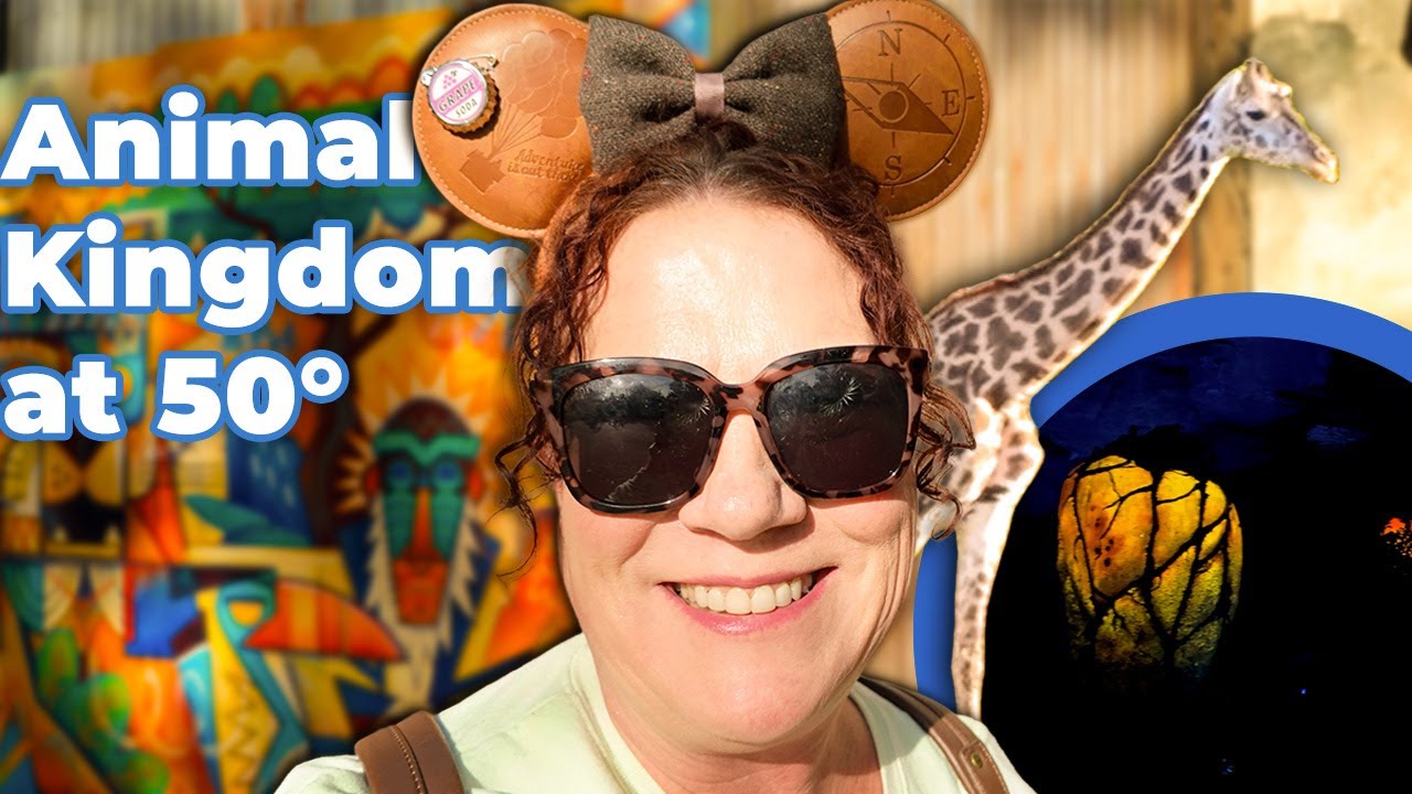 Disney World в холоде — это другая планета (видеоблог «Царство животных»)