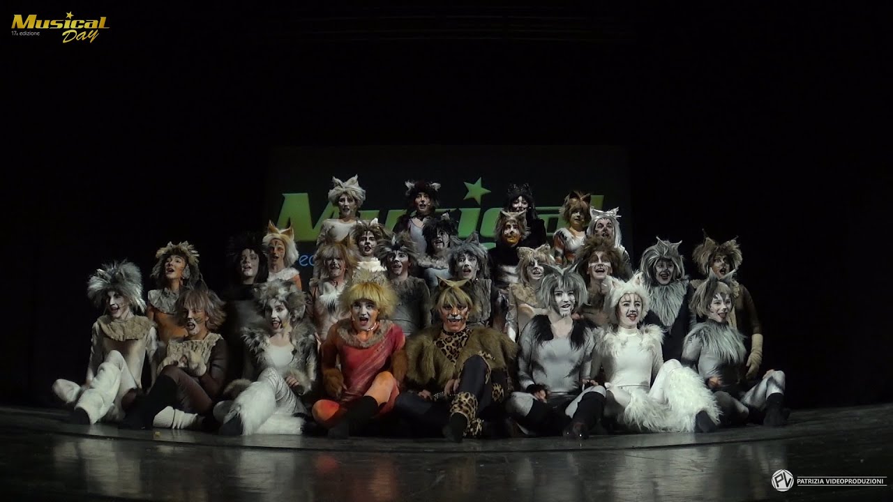 Musical Day 17a Edizione - 117) NATI DA UN SOGNO, Savona  -  Cats
