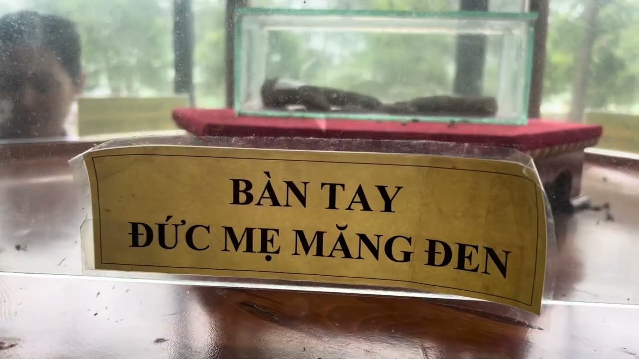 Trung Tâm Hành Hương Đức Mẹ Măng Đen - Kontum