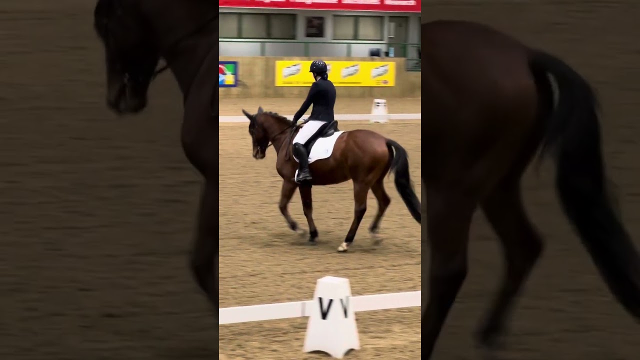 BD - Prelim 4 - 65.5% - Hartpury 25.1.25