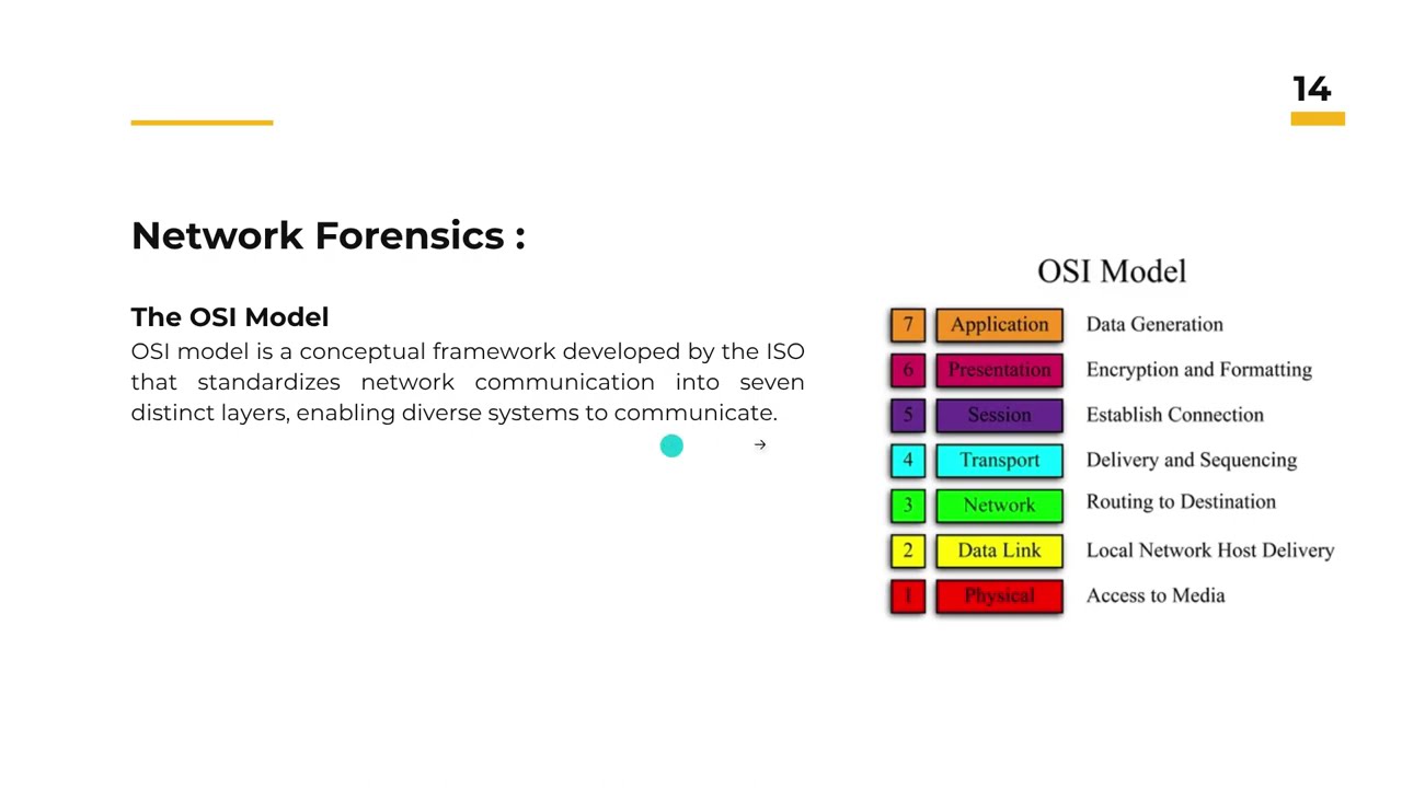 Networking Basics and WireShark