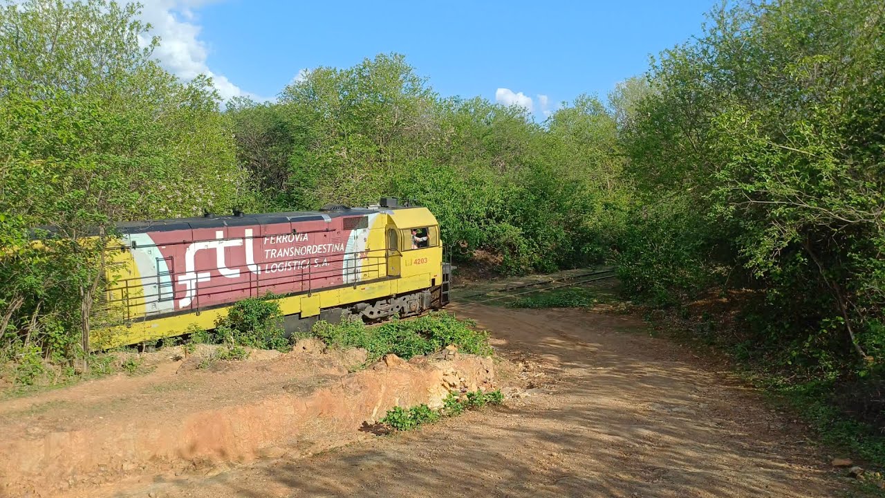 LA VAI O TREM  🚂🚃📢 |  TREM CARREGADO DA TRANSNORDESTINA COM TRIPLEX DE GM G12 NO COMANDO
