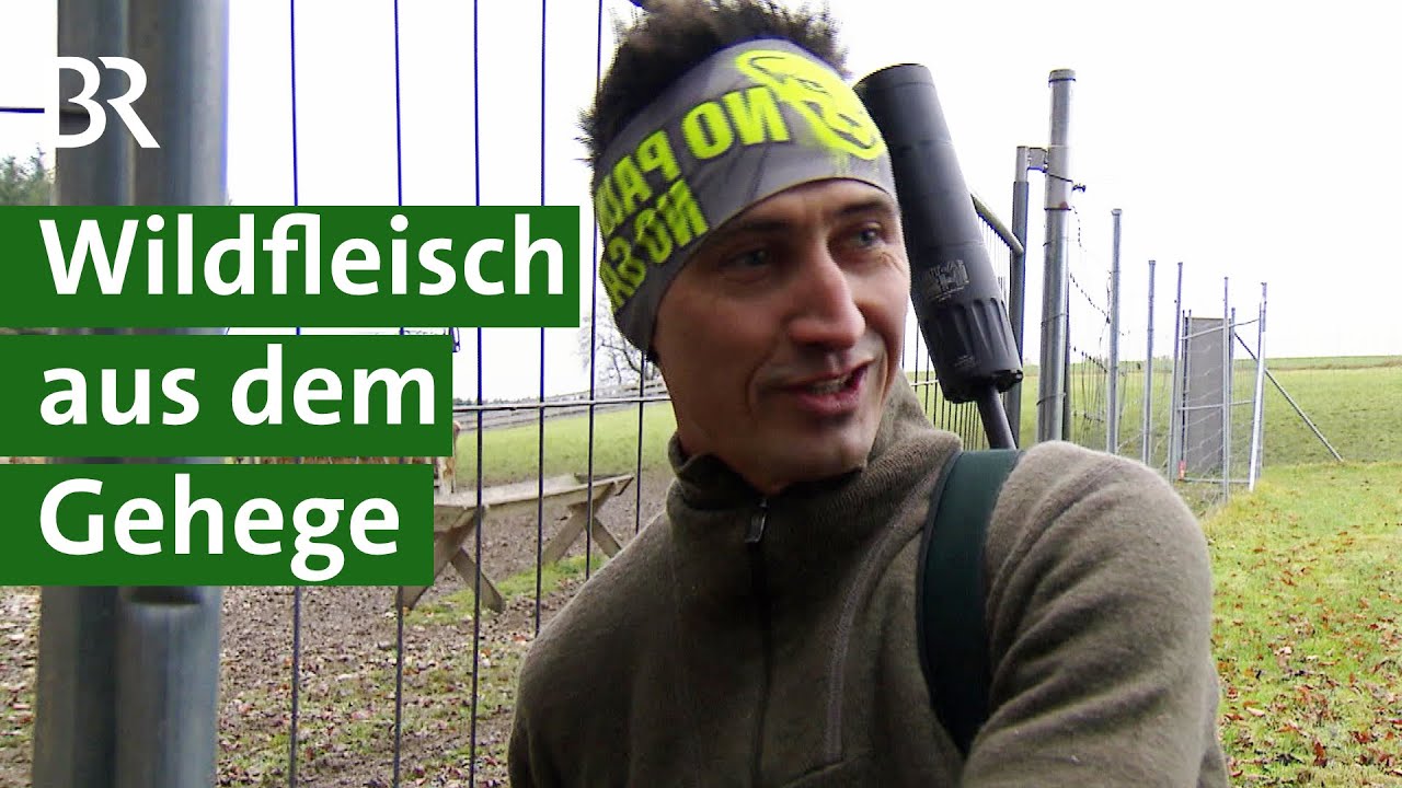 Wohin mit dem Wildfleisch? Mit Direktvermarktung von Wildbret zum Erfolg | Unser Land | BR