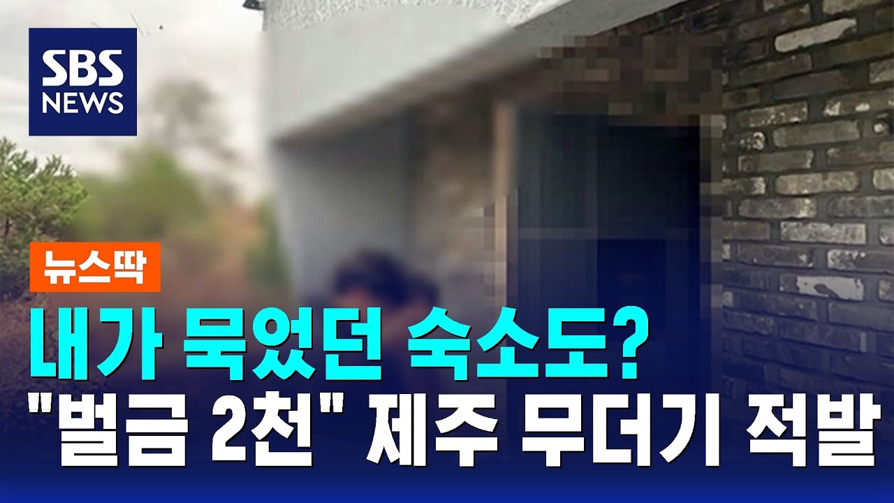 내가 묵었던 숙소도? 