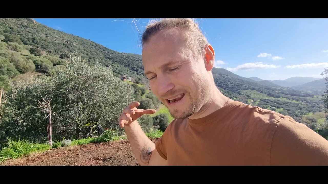 Log 9: Das Gemüsebeet Teil 2