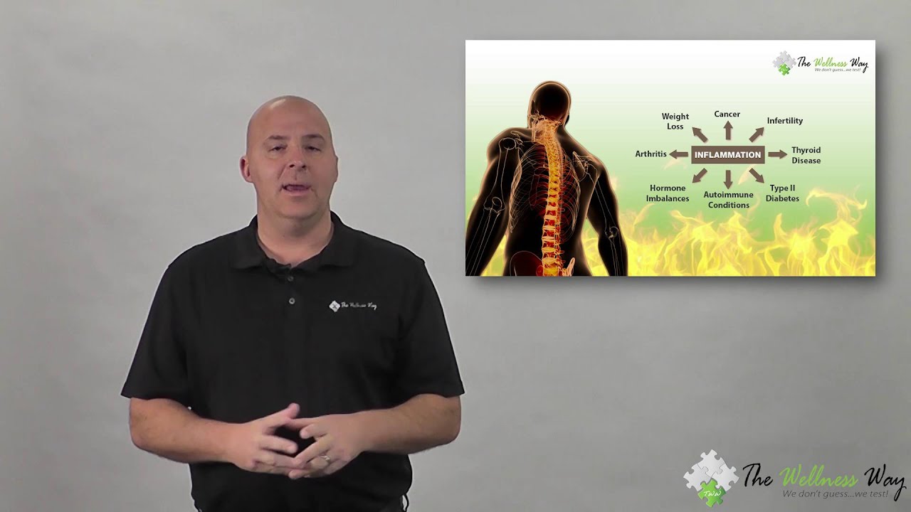 C Reactive Protein (CRP) | The Wellness Way Lab Series