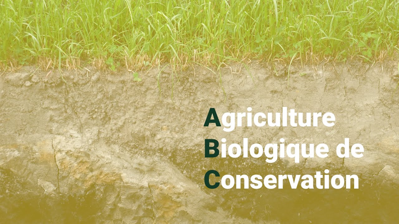 Agriculture Biologique de Conservation (ABC)