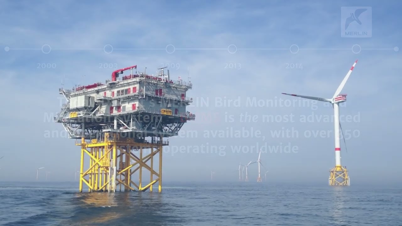 DeTect Bird Monitoring & Mitigation  (BMMS)